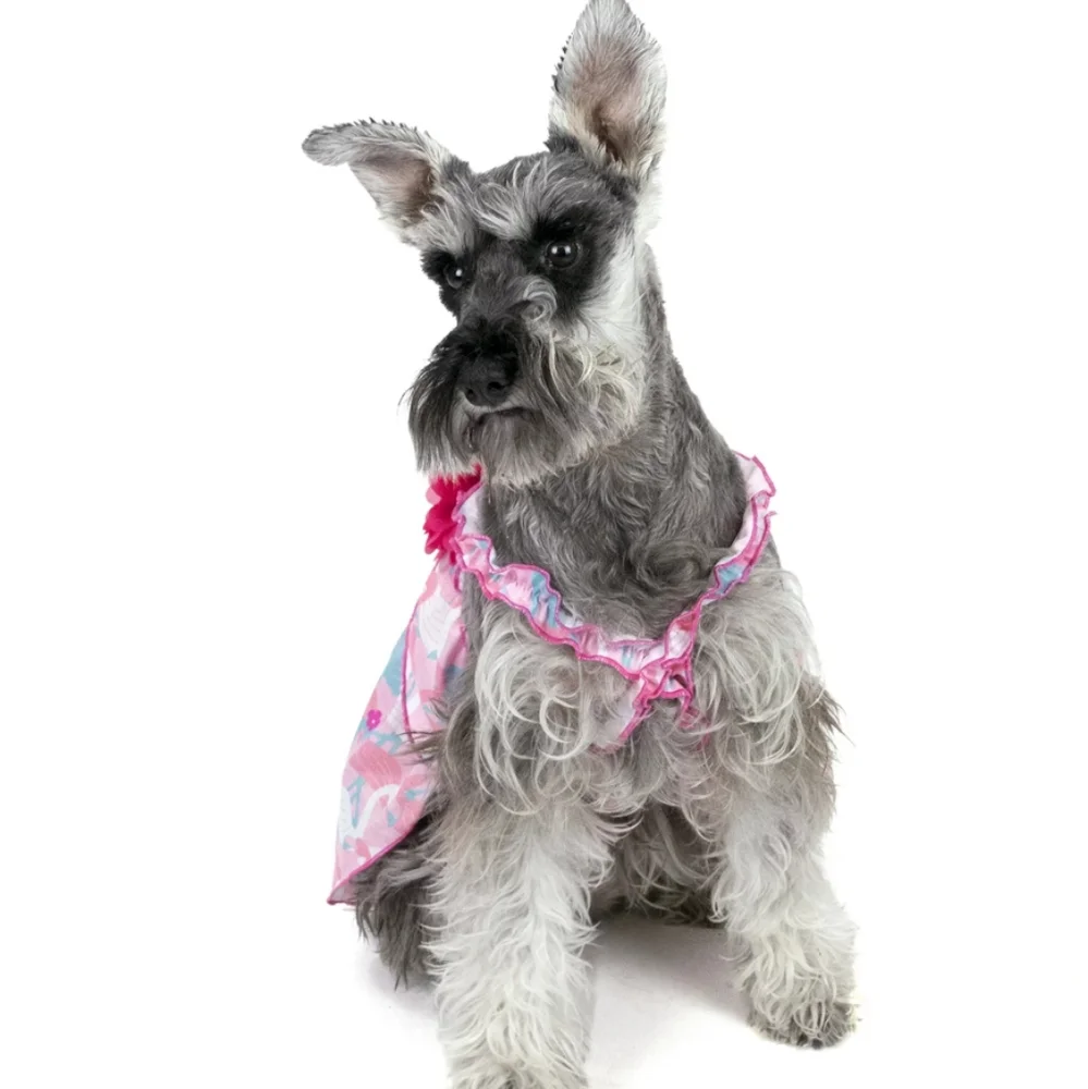 🌻 Vibrant Life Pink Flamingo Toy Dog Dress Size XXS (Less Than 10 Pounds)